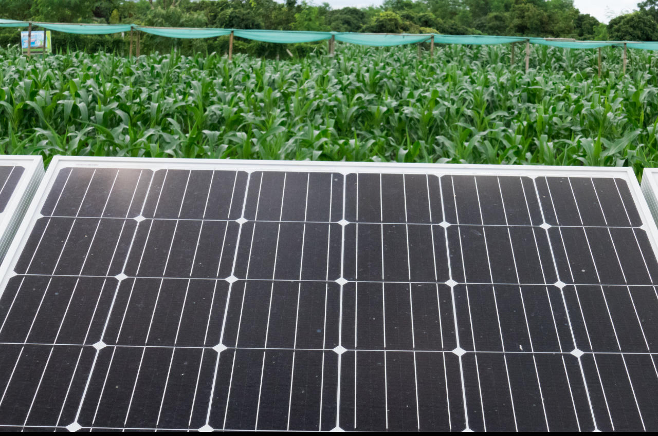 Agrovoltaico: la sinergia tra agricoltura e impianti fotovoltaici